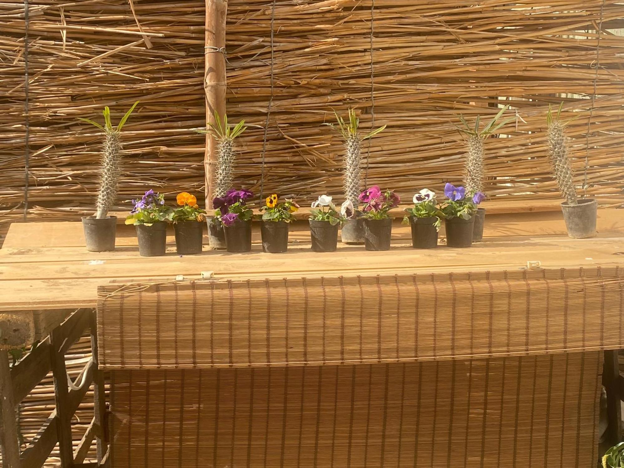 Airport Rooftop Club Luxurious Rooms And Studios Cairo Exterior photo